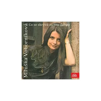 Česká hudba Miluše Voborníková – Co se skrývá za tou duhou