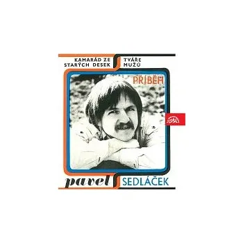 Česká hudba Pavel Sedláček – Příběh / Kamarád ze starých desek; Tváře mužů