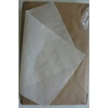 Balící papír Pergamen.náhr. bal. 1/10kg 42x65cm