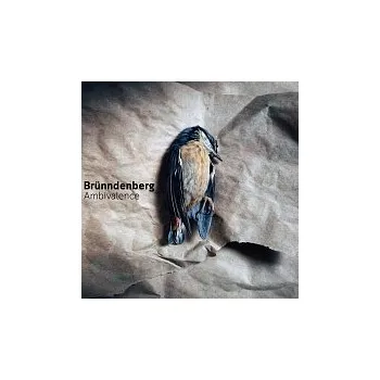 Česká hudba Brünndenberg – Ambivalence