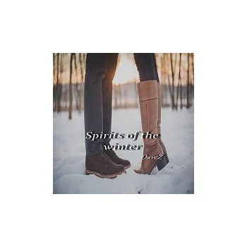 Česká hudba DaveZ – Spirits of the winter