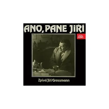 Česká hudba Divadlo Semafor – Ano, pane Jiří