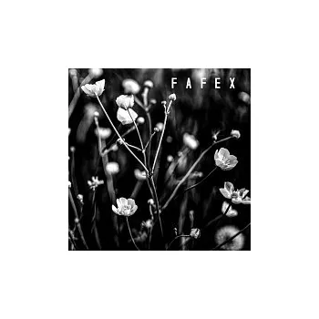 Česká hudba Fafex – Pomalý album