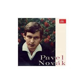 Česká hudba Pavel Novák – Malinká a další hity