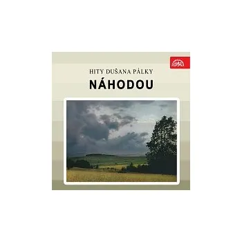 Česká hudba Různí interpreti – Náhodou. Hity Dušana Pálky