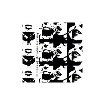 Česká hudba Tamers of Flowers – Last Day