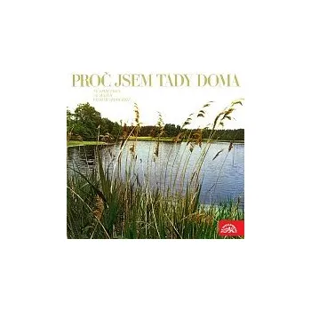 Česká hudba Různí interpreti – Proč jsem tady doma