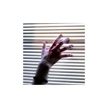 Česká hudba Daniel Flek – Blinds