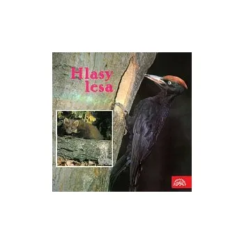 Česká hudba Zvukové efekty – Hlasy lesa