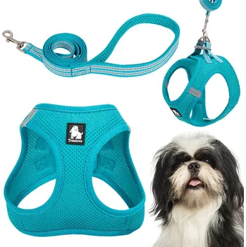 Vodítko pro psa POSTROJ + VODÍTKO PRO MALÉHO PSA KOČKU LEHKÉ TRUELOVE MINI MODRÉ S SADA