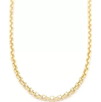 Řetízek Zlatý řetízek Anker zdobený v lesklém vzhledu 4,05g