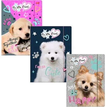 Desky s gumou A4 St. Majewski