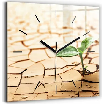 Hodiny Čtvercové Skleněné Nástěnné Hodiny do Obýváku Rostlina v suché zemi 30x30 cm