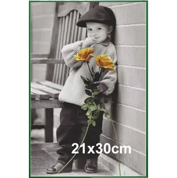 Obraz Hliníkový rám na fotografii nebo plakát 21x30 cm, zelený