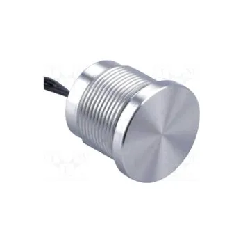 vypínač PS193P10Y01