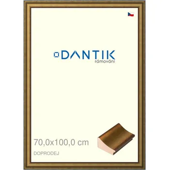 Rám na obraz DANTIK rámeček 70x100 | Doprodej | METAL AU prohlá velká (Plexi Čiré) (Vyrobeno s láskou u nás v DANTIKU)