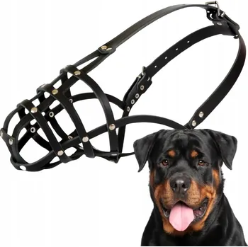 Náhubek pro psa Náhubek pro psa, DINGO KOŽENÝ NITOVANÝ Č. 8 (obvod 32 cm) ROTTWEILER MALÝ