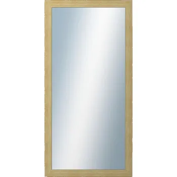 Zrcadlo DANTIK - Zarámované zrcadlo - rozměr s rámem cca 50x100 cm z lišty ANDRÉ velká starostříbrná (3156)