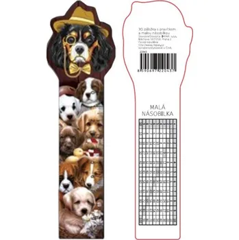 pravítka 3D záložka, pravítko, násobilka-PES, 1 kus