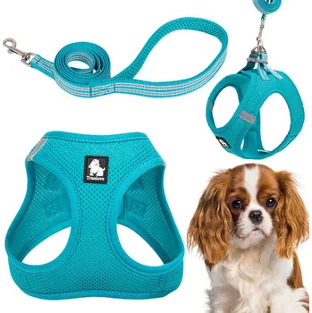 Vodítko pro psa Postroj + vodítko pro malého psa a kočku Truelove Mini Mesh modré M
