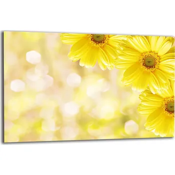 Obraz Krájecí deska TMK ArtDeko sklo 1 ks