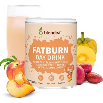 Přírodní produkt Blendea Fatburn Day Drink 100 g