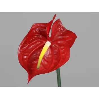 umělá květina Umělá květina Anthurium 65 cm, červená
