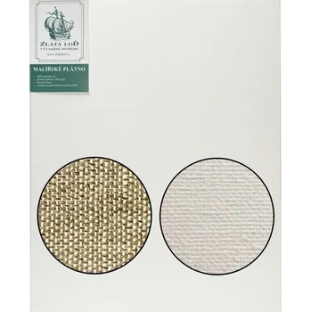 Malířské plátno Zlatá loď Malířské plátno B45.1222 White 30 x 30 cm 1 ks