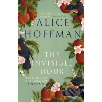 Beletrie pro dospělé The Invisible Hour - Alice Hoffman Simon & Schuster