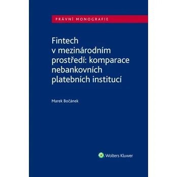 Fintech v mezinárodním prostředí: komparace nebankovních platebních institucí