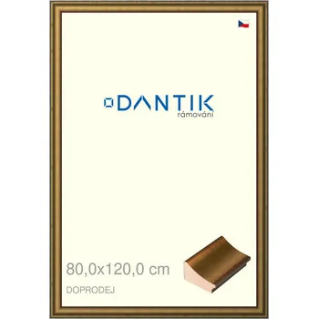 Rám na obraz DANTIK rámeček 80x120 | Doprodej | METAL AU prohlá velká (Plexi Čiré) (Vyrobeno s láskou u nás v DANTIKU)