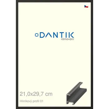 Rám na obraz DANTIK rámeček 21x29,7 | ALU profil 6001 Černá matná (Sklo Čiré) (Vyrobeno s láskou u nás v DANTIKU)
