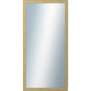 Zrcadlo DANTIK - Zarámované zrcadlo - rozměr s rámem cca 60x120 cm z lišty ANDRÉ velká starostříbrná (3156)