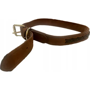 Obojek pro psa Obojek pro psa Activ Pet