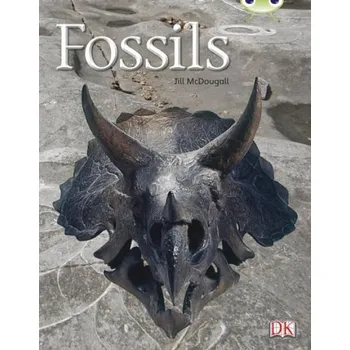 Cizí jazyk Bug Club Non-fiction Gold A/2B Fossils 6-pack - McDougall, Jill