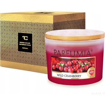 Svíčka Sójová vonná svíčka brusinky šťavnatá Vaše Dedra