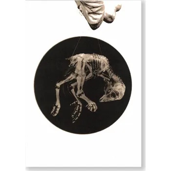 Kostlivec pohlednice