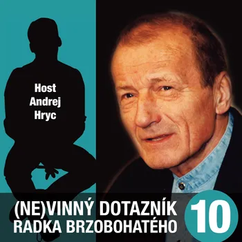 (Ne)vinný dotazník Radka Brzobohatého 10. - Andrej Hryc - audiokniha