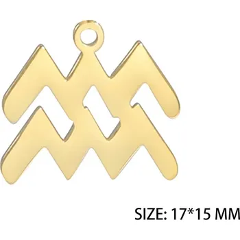 Přívěsek Ocelový přívěsek znamení zvěrokruhu | šperk - Zlato Vodnáře