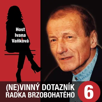 (Ne)vinný dotazník Radka Brzobohatého 6. - Ivana Vaňková - audiokniha