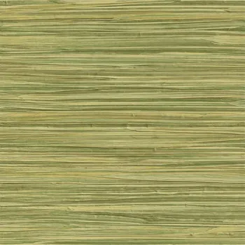 Obraz Tapeta na zeď efektní vodorovné pruhy zelená