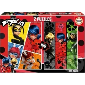 Kouzelná Beruška a Černý kocour - Educa Educa