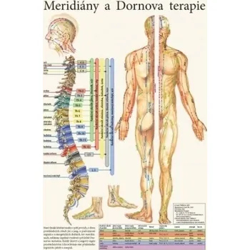 Meridiány a Dornova terapie 32x47cm