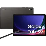 Samsung Galaxy Tab S9 5G 12/256GB, Gray