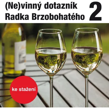 (Ne)vinný dotazník Radka Brzobohatého 2. - Radoslav Brzobohatý - audiokniha