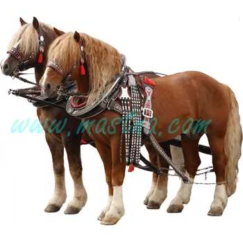 Chladnokrevníci, samolepka koně