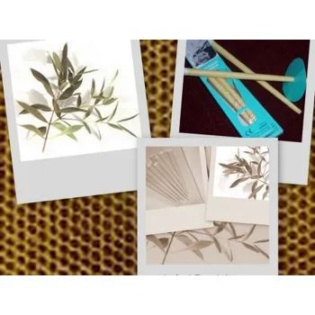 Ušní svíčka eukalyptová