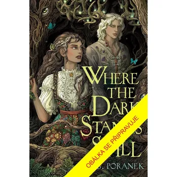 Kde ještě leží tma