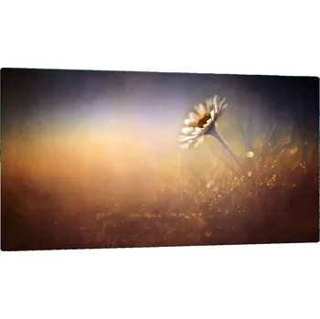 Kuchyňské prkénko Krájecí deska TMK ArtDeko sklo 1 ks