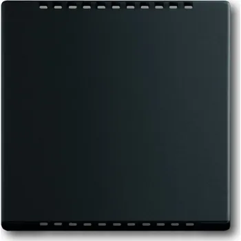 Stavebniny Kryt pro výkonový modul stmívače ABB Future linear, Busch-axcent 2CKA006599A2967 mechová černá